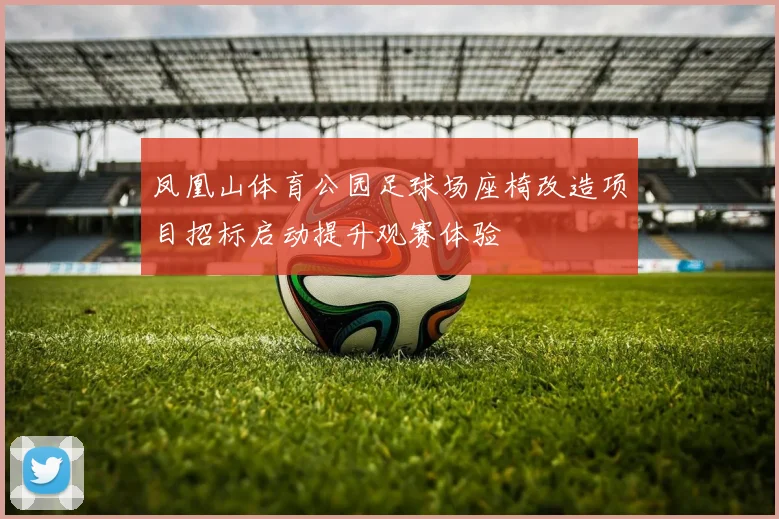 凤凰山体育公园足球场座椅改造项目招标启动提升观赛体验
